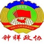 钟祥政协ico