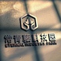 常青藤科技园ico