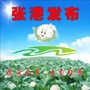 张港发布公众号ico
