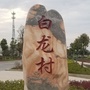 情系白龙ico