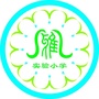 峨眉山市实验小学校ico