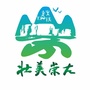 壮美崇左ico