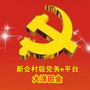 大泽田金ico