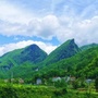 秀美尖山坪公众号ico