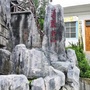 美丽天山ico