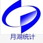 月湖统计ico