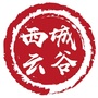 庐江西城云谷ico