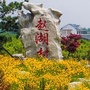 灵动花香赵湖ico