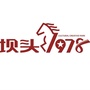 坝头1978ico