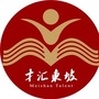 才汇东坡ico