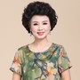 汾河小说ico