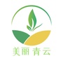 美丽青云ico