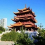 爱你大衡阳ico