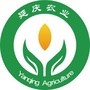 延庆农业ico