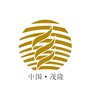 茂隆中孚ico