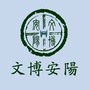 文博安阳ico