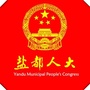 盐都人大微发布ico