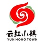 云红小镇公众号ico