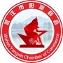 武汉市阳新商会ico
