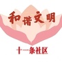 南口镇十一条社区ico