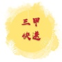 三甲快送ico