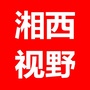 湘西视野ico