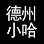 德州小哈网络科技有限公司ico