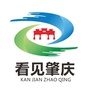 看见肇庆ico