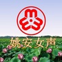 姚安女声ico