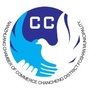 南庄商会ico