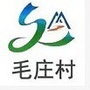 毛庄风采ico