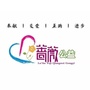 叶集蔷薇公益ico