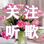 春华情歌集ico