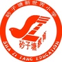 长沙市雨花区砂子塘新世界小学ico