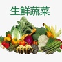 南汇生态农产品ico