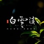 白云滇公众号ico