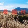 美丽桑园村ico