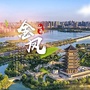 魅力金凤ico