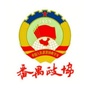 番禺政协ico
