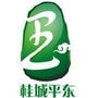 桂城平东社区ico