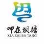 秀丽保安ico