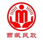 西藏民政发布公众号ico