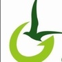 合肥格林沃德ico