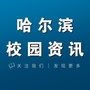 哈尔滨校园资讯公众号ico