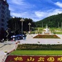和谐桃山ico