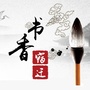 书香宿迁ico