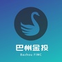 新疆巴州金投ico