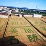 美丽石陂ico