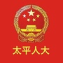麻章太平人大ico