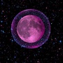星座秘闻物语ico